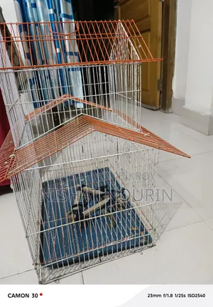 Bird Cage House