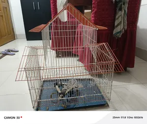 Bird Cage House