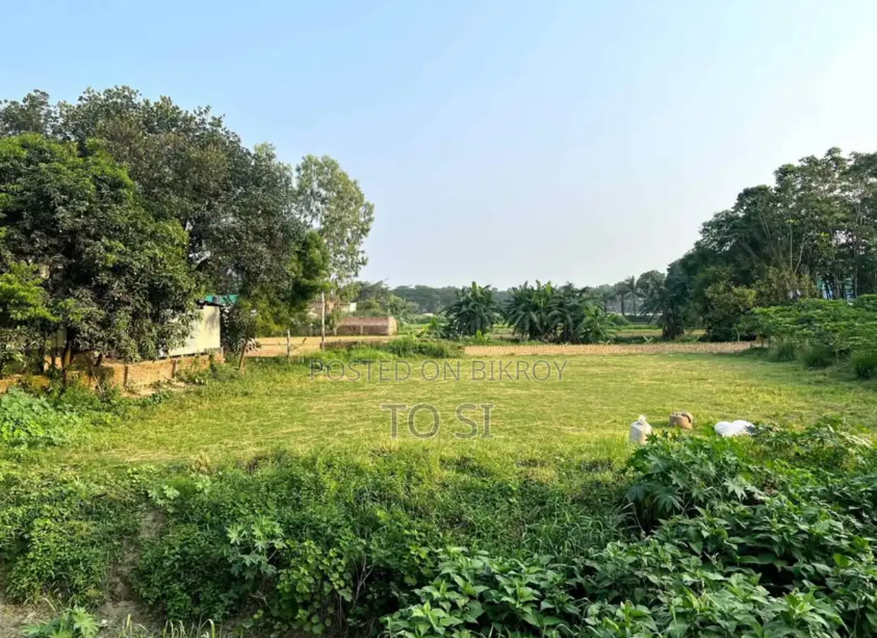Hemayetpur Binadanggi Land Rent