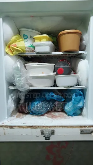 কেলভিনেটর ফ্রস্ট রেফ্রিজারেটর বিক্রির জন্য