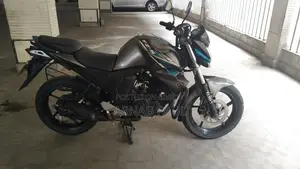 Yamaha FZ 2017 গ্রে