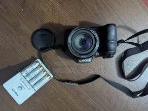 Sony DSC-H300