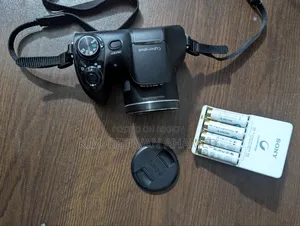 Sony DSC-H300