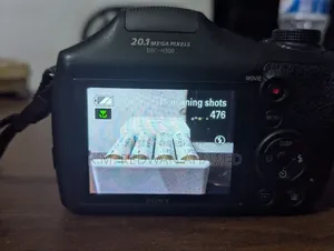 Sony DSC-H300