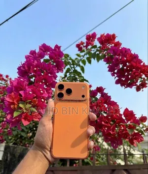 অ্যাপল আইফোন ১৭ প্রো ম্যাক্স ২৫৬ জিবি অরেঞ্জ