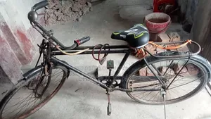 Cycle Sale
