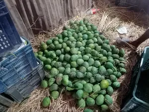 Rajshahi Himsagar Mango