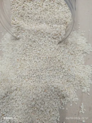 White Sesame Seeds 100 grams