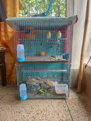 Cage for Sale