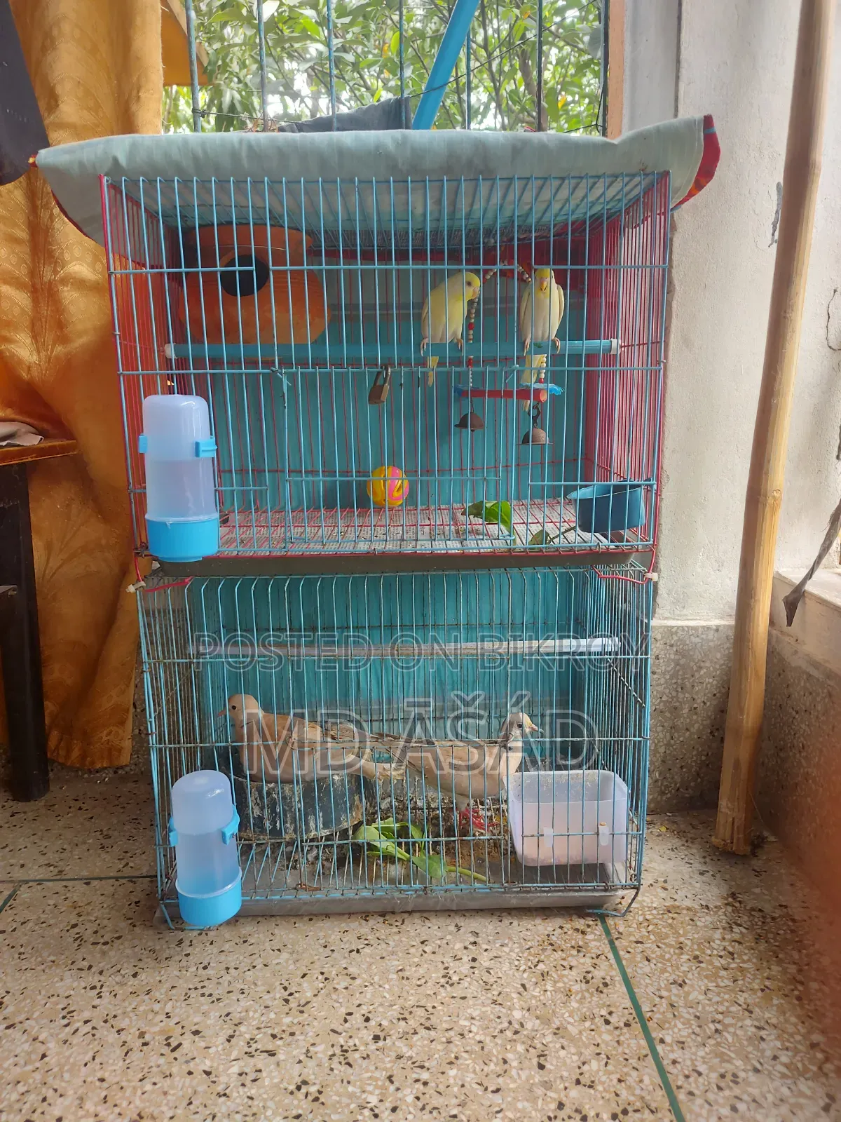 Cage for Sale