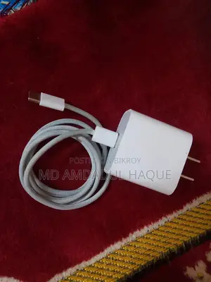 অরিজিনাল অ্যাপল আইফোন চার্জার সি টু সি