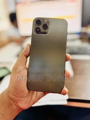 Apple iPhone 12 Pro Max 256 GB Gray