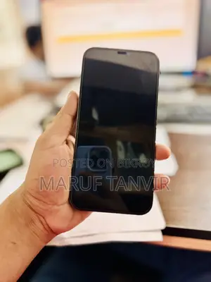 Apple iPhone 12 Pro Max 256 GB Gray