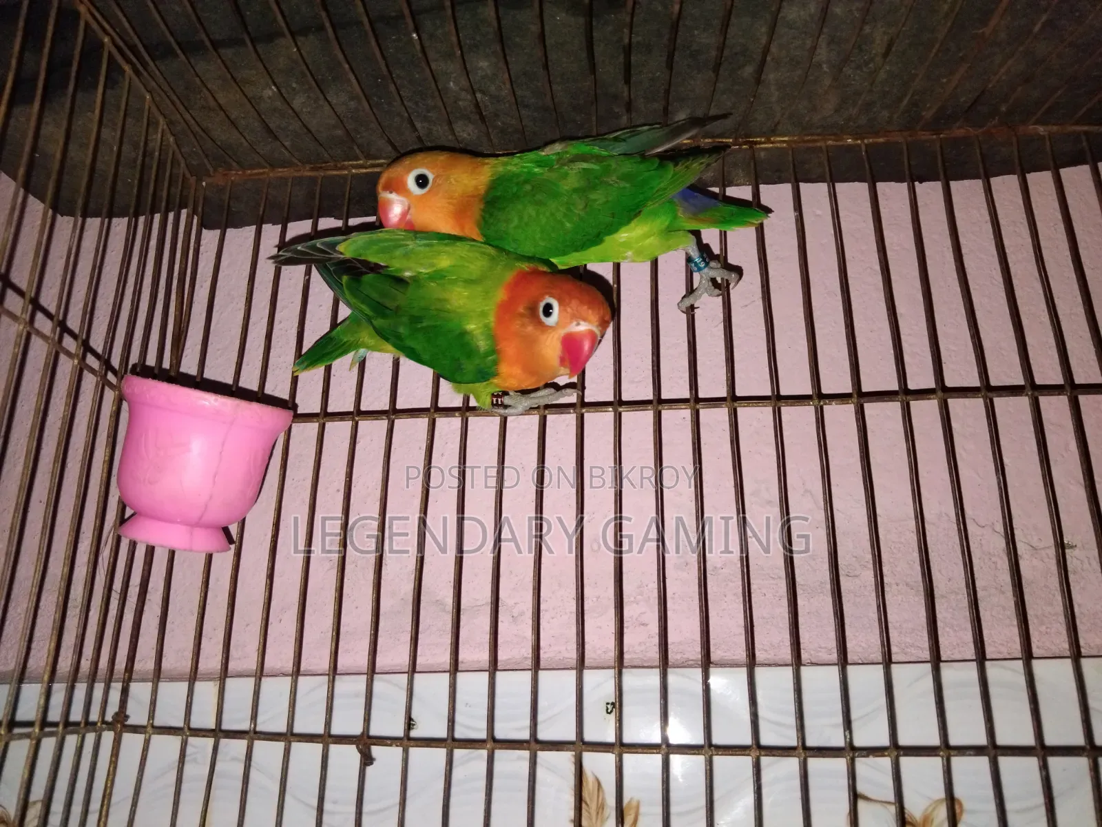 Green Opaline