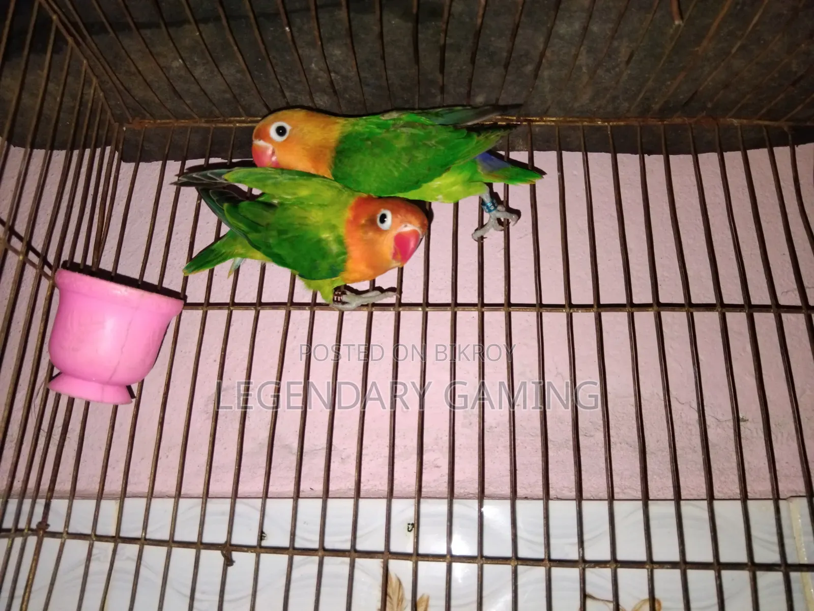 Green Opaline