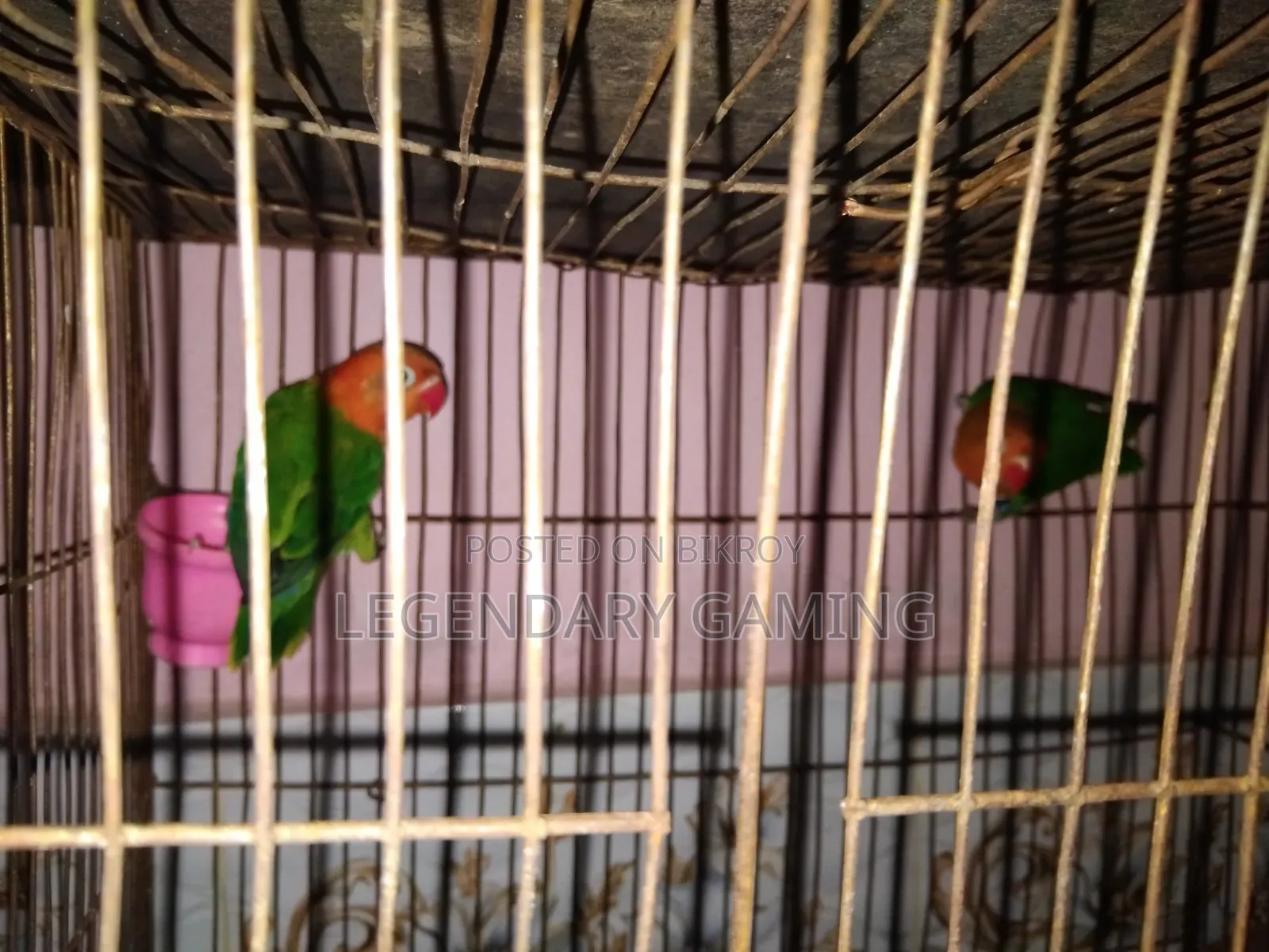 Green Opaline
