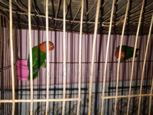 Green Opaline