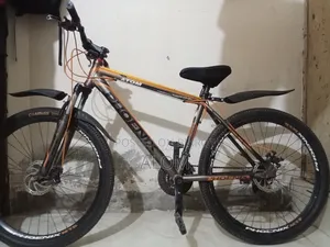 Will this bicycle be sold? No work needed, just take it and ride.