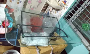 ডাইনিং টেবিল সেট বিক্রয়ের বিজ্ঞপ্তি