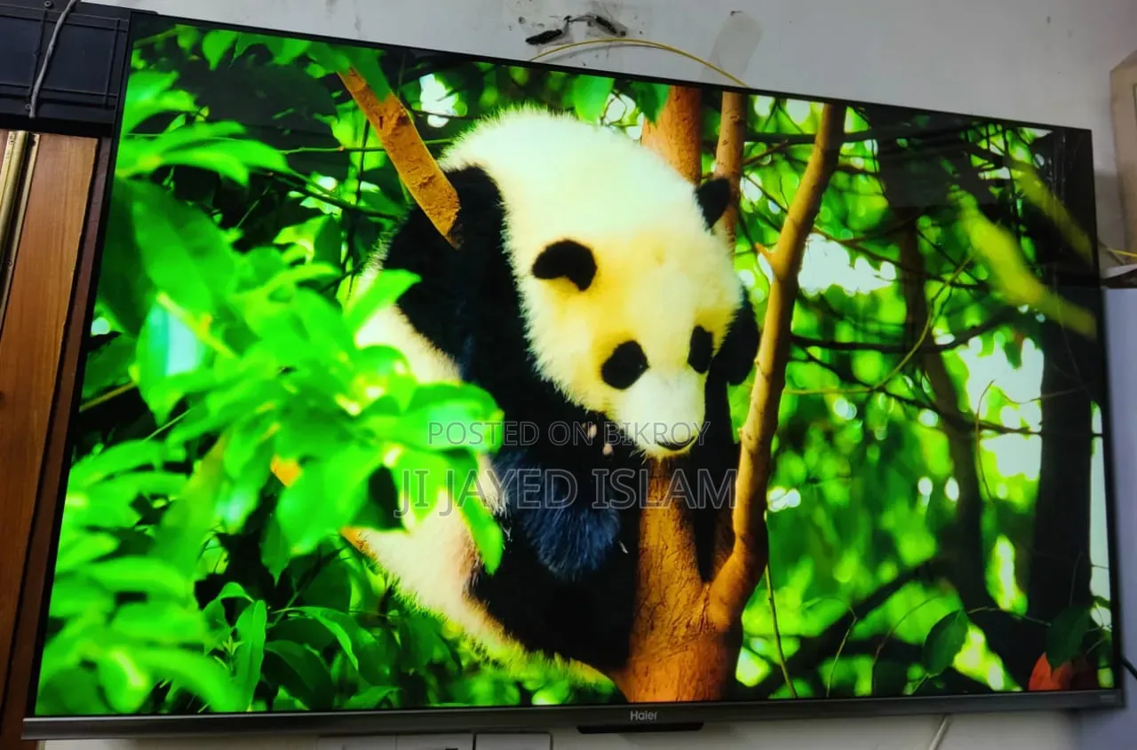Haier 55" Bezel Less Google TV | H55P7UX