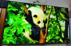 Haier 55" Bezel Less Google TV | H55P7UX