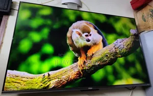 Haier 55" Bezel Less Google TV | H55P7UX