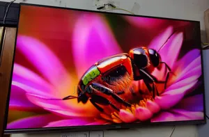 Haier 55" Bezel Less Google TV | H55P7UX