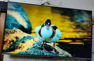 Haier 55" Bezel Less Google TV | H55P7UX