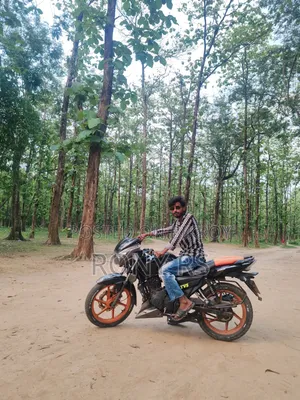 TVS Apache RTR 160 2V 2014 Gray