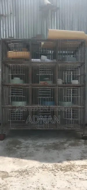 A 24-carat iron cage for sale.