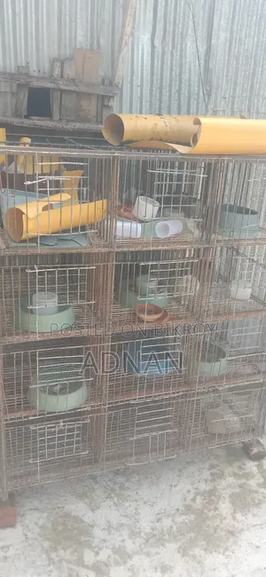 A 24-carat iron cage for sale.