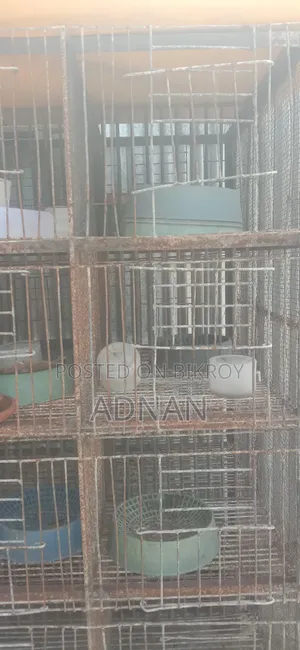 A 24-carat iron cage for sale.