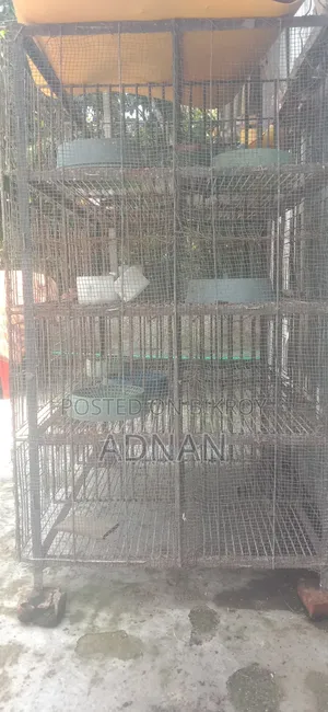 A 24-carat iron cage for sale.