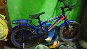 Cycle 16" & Baby Cycle