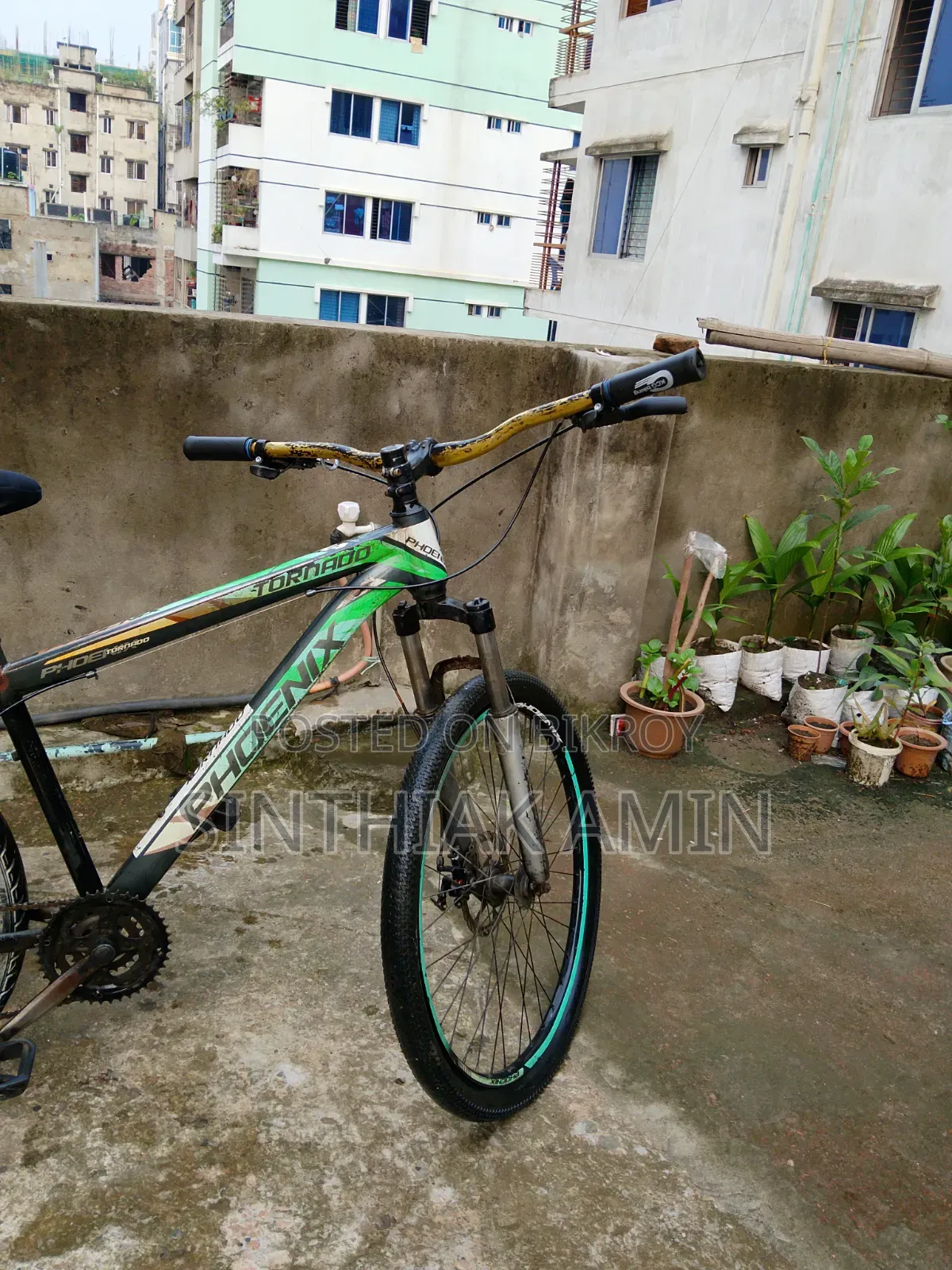 26" Phoenix :Tornedo