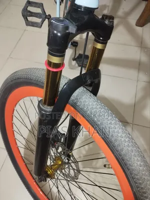 Duranta Bicycle for Sell