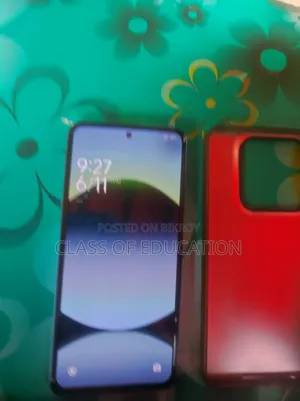 Xiaomi 14 256 GB Gray