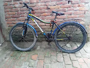 Bicycle without gear