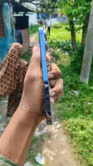 Apple iPhone 13 Pro Max 256 GB Blue