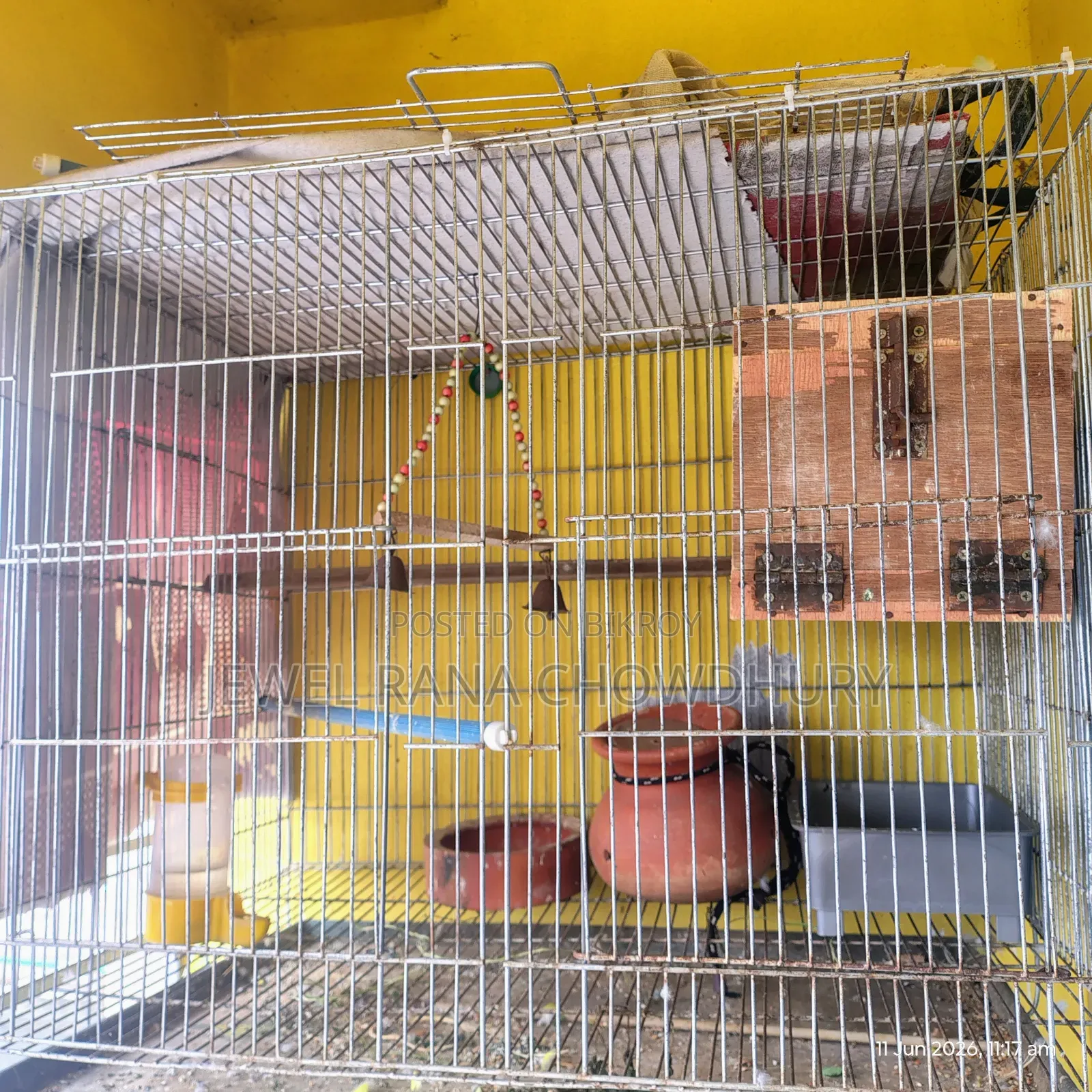 Sales Post – Iron Bird Cage