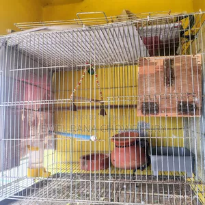 Sales Post – Iron Bird Cage
