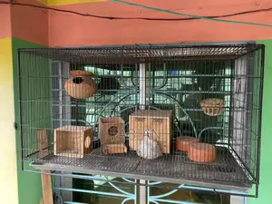 Premium Bird Cage 3 in One