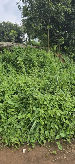 Rajuk Purbachal South Facing 5 Katha Plot Sell