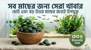 Spirulina Tablets Fish Food 30 PCS