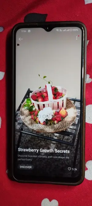 Oppo A77 128 GB
