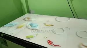 ডিপ ফ্রিজ বিক্রির জন্য