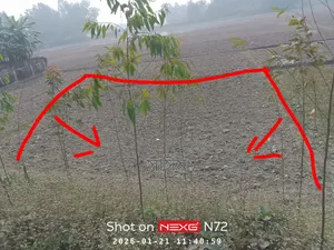 Want to sell 5.5 decimal land in Hatiya Bazar