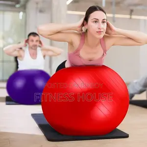 যোগা জিম বল ৬৫ সেমি পাম্পার সহ