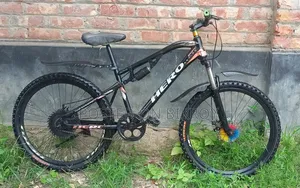Non-Gear Bicycle