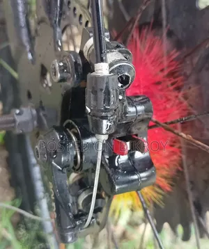 Non-Gear Bicycle